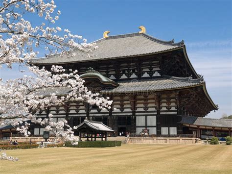 Nara Todaiji temple. Spring time view Todai-ji temple with cherry ...