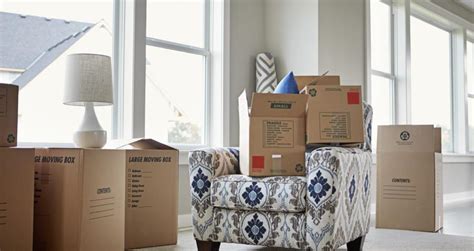 5 Best Packing Tips - How to Pack for a House Move | EnergyAustralia