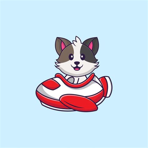 Premium Vector | Cute cat flying on a plane. animal cartoon concept ...