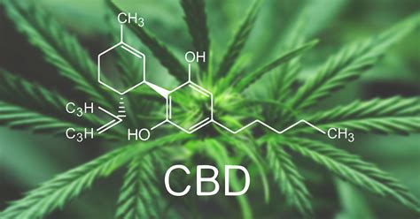 Breaking Down the 3 Major Types of CBD