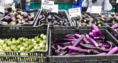 Which eggplant varieties can you name? 🍆