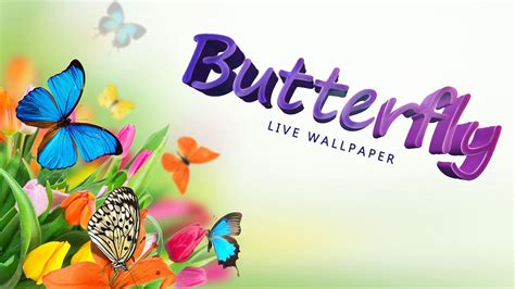 🔥 [150+] Free Live Butterfly Wallpapers | WallpaperSafari