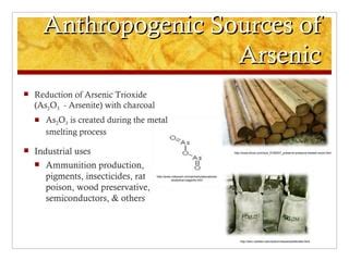 Arsenic Final Presentation | PPT