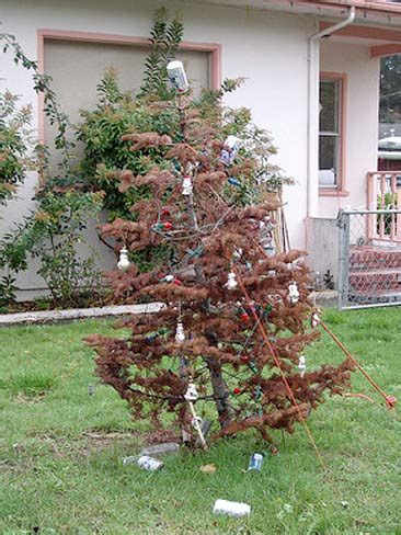 These Christmas Trees Are Unmitigated Disasters from These Christmas ...