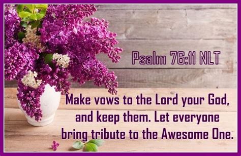 Book Of Psalms, Bible Verses, Scripture, Vows, Champion, Scripture ...