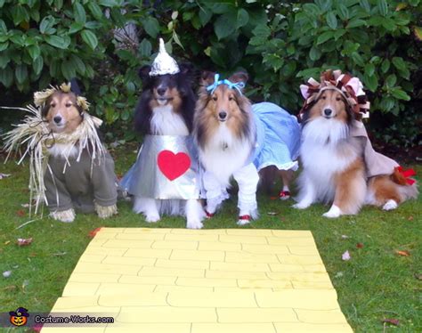 The Wizard of Oz - Costume Ideas for Dogs