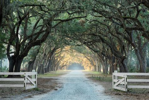 The most beautiful historic sites in Savannah, Georgia - Travel & Tourism News: Find Top Travel ...