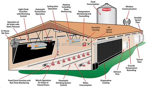 Steel Structure Farm Broiler Poultry Shed Construction Design Chicken ...