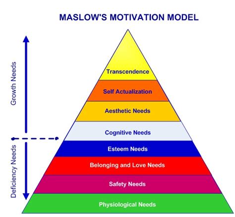 Maslow's Hierarchy of Needs - Physiological, safety, social