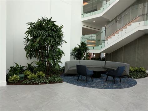 Atrium Design and Care - Botanicus