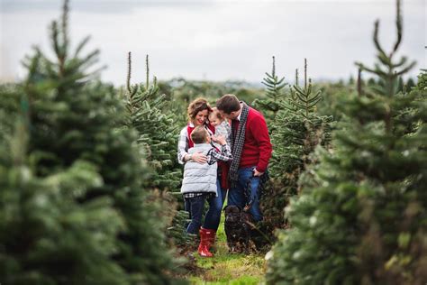 Christmas Tree Farm Family Photos | Seattle Family Photographer — Elena S Blair Photography ...