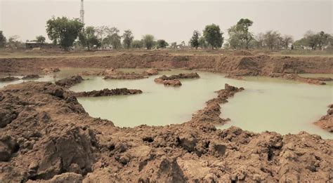 Wetland loss: Many unexpected repercussions in a fast-changing world | wionews.com