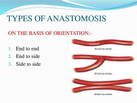 Bowel resection and anastomosis