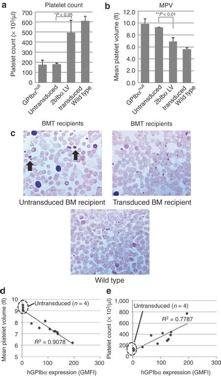 Analysis of platelet count and size. (a) Platelet count and (b) size of... | Download Scientific ...