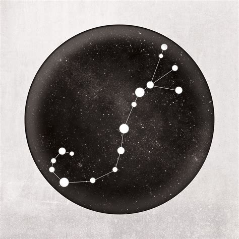 Scorpio Constellation Art Print - Zodiac Constellations - Touch of Modern