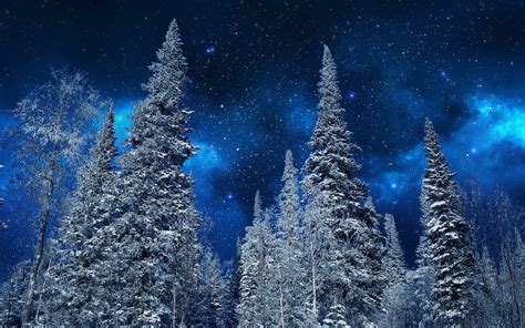 Winter Starry Night HD Wallpaper