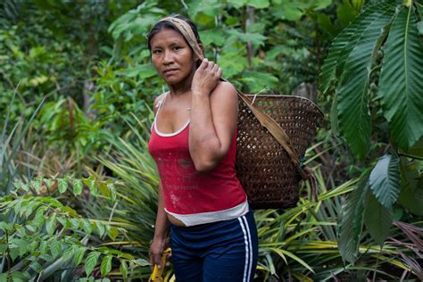 How indigenous culture protects Colombia's rainforest | Context