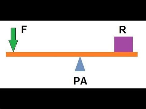 Tipos De Palancas De Primer Grado • TIPOSDE