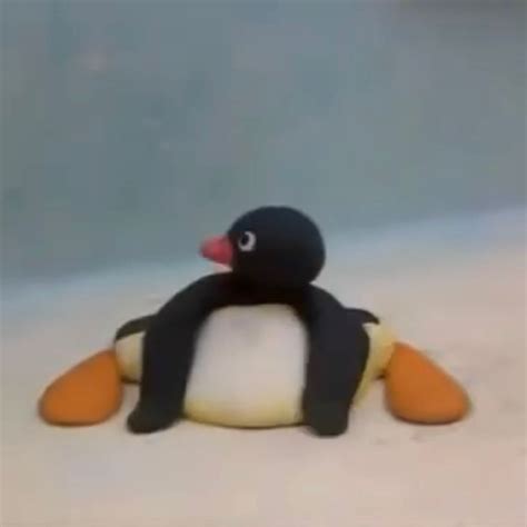 Pingu pfp | Pingu memes, Pingu, Pingu pingu