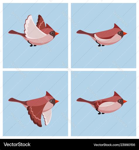 Flying cardinal bird fem animation sprite sheet Vector Image