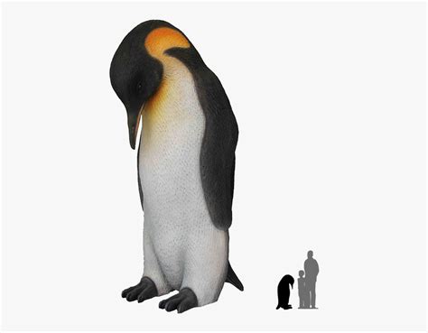 Real Emperor Penguin No Background , Free Transparent Clipart - ClipartKey