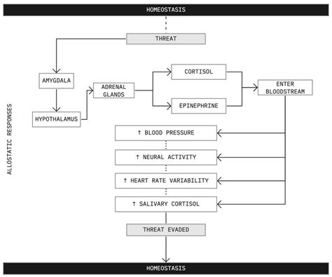 Overview of the allostatic response to a perceived stressor outlined ...