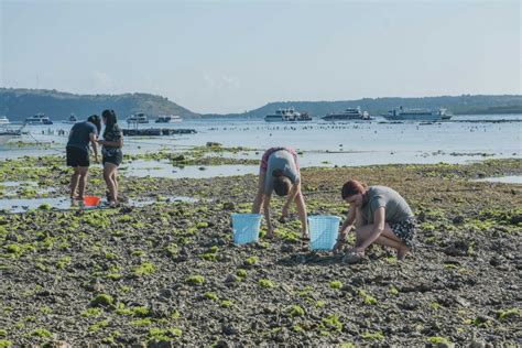 Volunteering Turtle in Bali - Adventure Volunteer