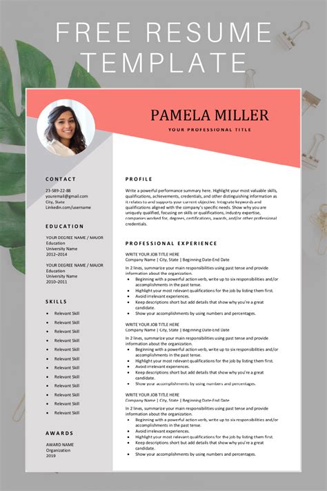 Editable Resume Template Free