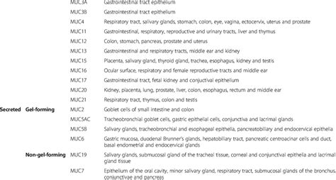 Classification, designation and distribution of mucin family Type of ...