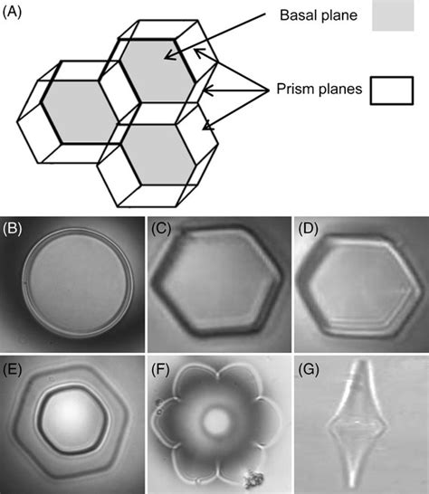 Ice lattice/crystal structure. (A) The structure of ice crystals having ...