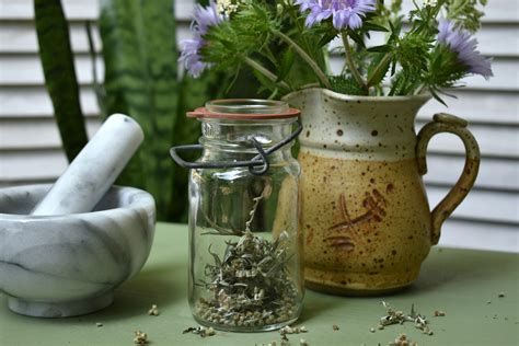 Complete Home Apothecary Start Up Guide | indie herbalist