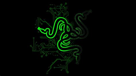 Black and green Razer gaming mouse, Razer Inc., Razer, logo HD wallpaper | Wallpaper Flare