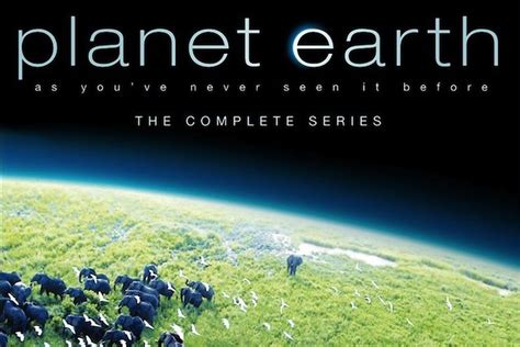 10 Best Nature Documentaries on Netflix | To & Fro