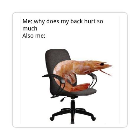 "Shrimp Sticker " Sticker for Sale by Maddy0410 in 2023 | Meme stickers, Stickers, Shrimp