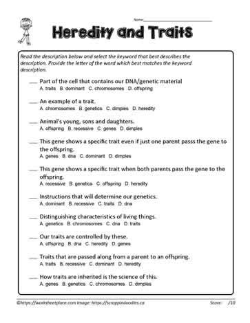 Heredity Traits Multiple Choice Worksheets