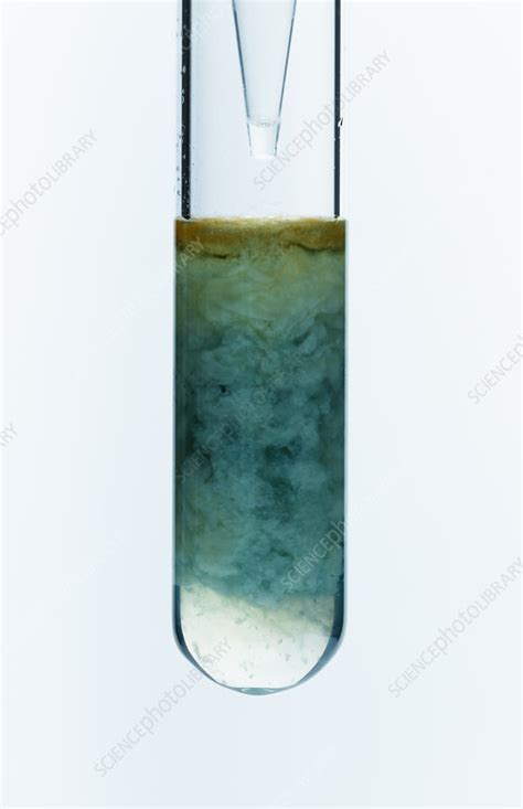 Iron(II) hydroxide precipitate, 4 of 4 - Stock Image - C043/0031 ...