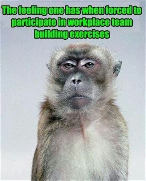 Monkey feelings Teacher Humour, Teacher Life, Nurse Life, Teacher ...