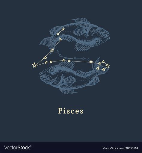 Zodiac constellation pisces in engraving style Vector Image