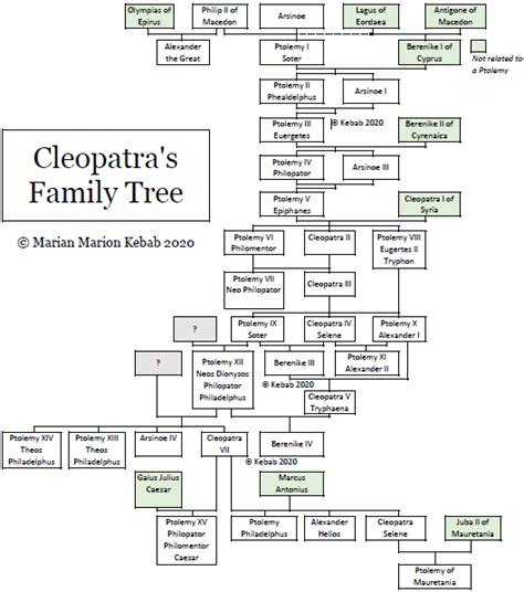 Cleopatra's Family Tree