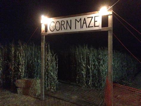 Corn Maze-Halloween Night Special