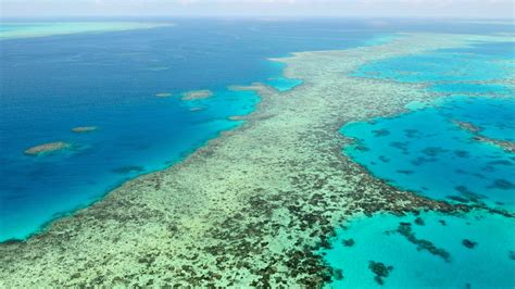 UN says Great Barrier Reef is in danger, Australia fights back