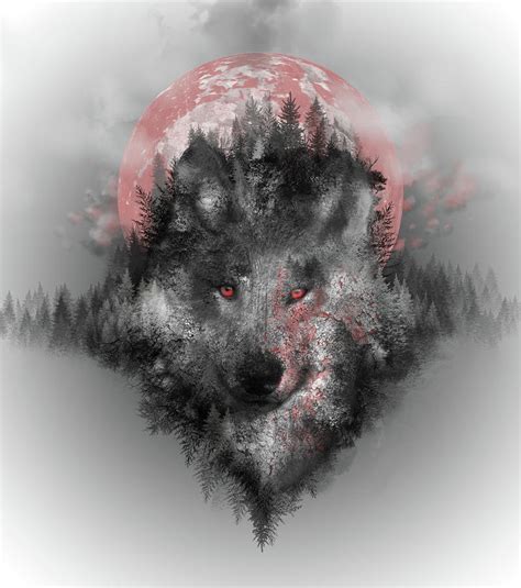 Wolf Digital Art by Bekim M | Fine Art America