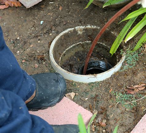 Real Estate Sewer Inspection | Code Blue Plumbing