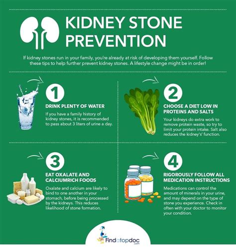 Kidney Stones: Symptoms, Causes, Treatment, and Diagnosis | FindATopDoc