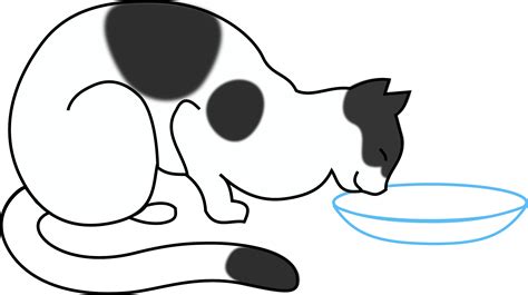 Clipart - white cat drinking