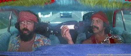 Cheech And Chong GIF by memecandy - Find & Share on GIPHY