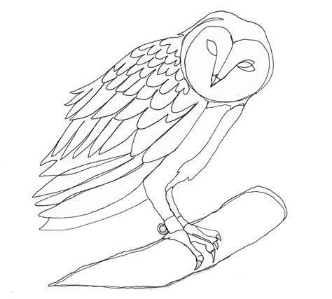 Line drawing, Owls drawing, Drawings