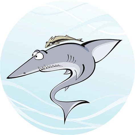 Remora Fish Illustrations, Royalty-Free Vector Graphics & Clip Art - iStock