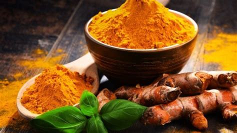 Turmeric For Dogs: Feeding, Recipes, Health Benefits & Side Effects | All Things Dogs