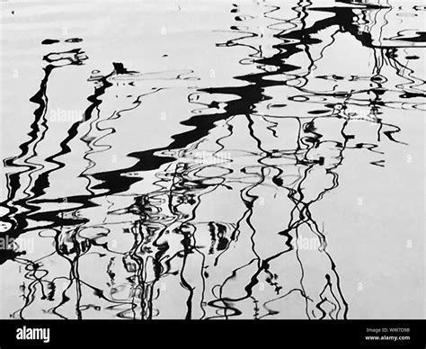 water mirroring, tree, branches Stock Photo - Alamy